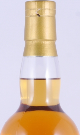 Bruichladdich 2007 6 Years Octomore Epione Renegade MBRPT2 Islay Single Malt Scotch Whisky 50.0%