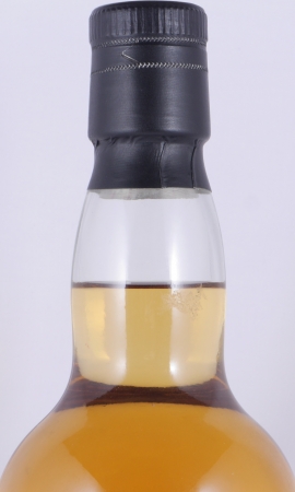 Macallan-Glenlivet 1989 17 Years Bourbon Wood Cadenheads Single Cask Bottling Speyside Single Malt Scotch Whisky 46.0%