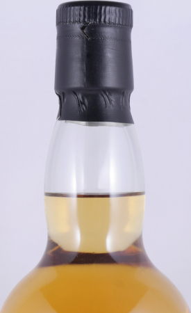 Ardbeg 1993 26 Years Bourbon Hogshead Cadenheads Authentic Collecton Islay Single Malt Scotch Whisky Cask Strength 53,7%