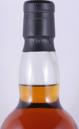 Macallan 1989 11 Years Sherry Wood Cadenhead Speyside Single Malt Scotch Whisky Cask Strength 60,5%