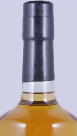 Bowmore 1988 24 Years First Fill Bourbon Cask Feis Ile 2013 Islay Single Malt Scotch Whisky 51,0%