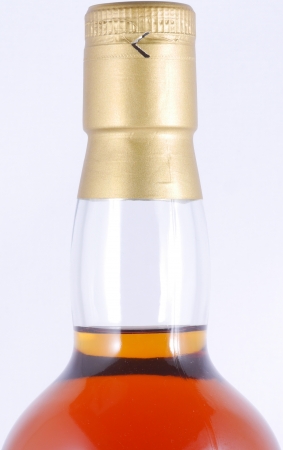 Port Ellen 1981 18 Years Sherry Cask The McGibbons Provenance Islay Single Malt Scotch Whisky 43.0%