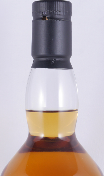 Lagavulin 1995 23 Years European Oak Cask No. 9001 Select Cask Limited Single Cask Edition Islay Single Malt Scotch Whisky 48,7%